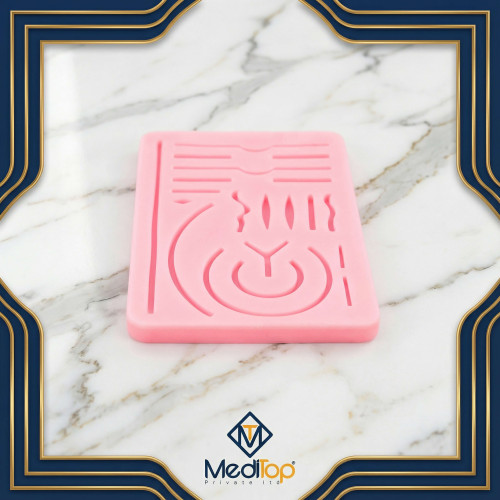 Suture Practice Training Human Skin Model Neuro Surgery Pad For Medical Students Suture Practice Training Human Skin Model Neuro Surgery Pad For Medical Students