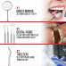 6 PCS Teeth Cleaning Tools Set for Personal & Pet Oral Care Use