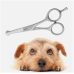 Professional Pet Grooming Scissors – 4.5" Curved Ball Tip Razor Edge