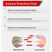 Dental Suture Practice Pad – Human Silicone Skin Model for Medical & Veterinary Students
